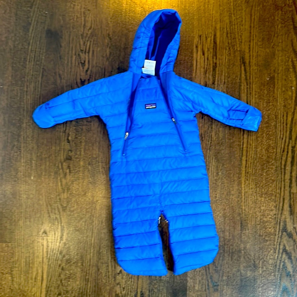 Patagonia down bunting